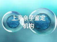 上海亲子鉴定机构