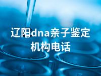 辽阳dna亲子鉴定机构电话