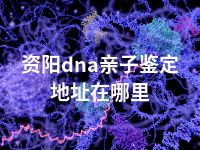 资阳dna亲子鉴定地址在哪里