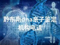 黔东南dna亲子鉴定机构电话