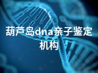 葫芦岛dna亲子鉴定机构