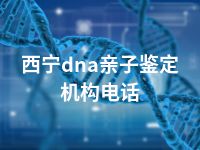 西宁dna亲子鉴定机构电话