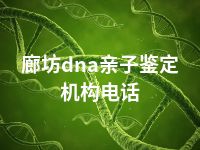 廊坊dna亲子鉴定机构电话