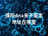 濮阳dna亲子鉴定地址在哪里