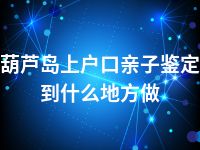 葫芦岛上户口亲子鉴定到什么地方做