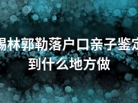 锡林郭勒落户口亲子鉴定到什么地方做