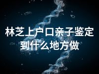 林芝上户口亲子鉴定到什么地方做