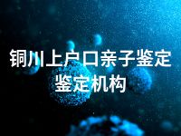 铜川上户口亲子鉴定鉴定机构