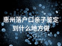 惠州落户口亲子鉴定到什么地方做