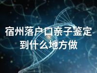 宿州落户口亲子鉴定到什么地方做