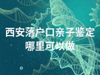 西安落户口亲子鉴定哪里可以做