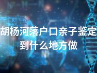 胡杨河落户口亲子鉴定到什么地方做