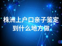 株洲上户口亲子鉴定到什么地方做