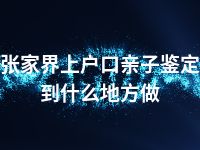 张家界上户口亲子鉴定到什么地方做