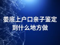 娄底上户口亲子鉴定到什么地方做