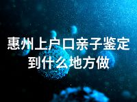 惠州上户口亲子鉴定到什么地方做