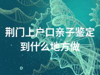 荆门上户口亲子鉴定到什么地方做