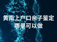 黄南上户口亲子鉴定哪里可以做