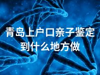 青岛上户口亲子鉴定到什么地方做