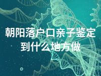 朝阳落户口亲子鉴定到什么地方做