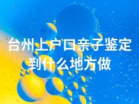 台州上户口亲子鉴定到什么地方做