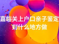 嘉峪关上户口亲子鉴定到什么地方做