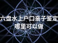 六盘水上户口亲子鉴定哪里可以做