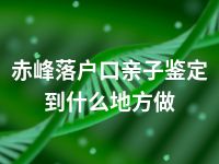 赤峰落户口亲子鉴定到什么地方做