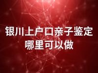 银川上户口亲子鉴定哪里可以做