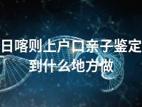 日喀则上户口亲子鉴定到什么地方做