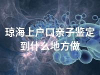 琼海上户口亲子鉴定到什么地方做