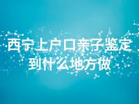 西宁上户口亲子鉴定到什么地方做