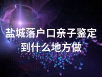 盐城落户口亲子鉴定到什么地方做