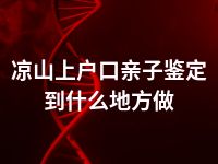 凉山上户口亲子鉴定到什么地方做