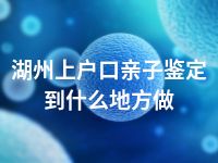 湖州上户口亲子鉴定到什么地方做