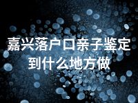 嘉兴落户口亲子鉴定到什么地方做