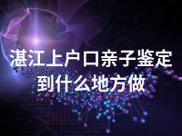 湛江上户口亲子鉴定到什么地方做