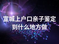 宣城上户口亲子鉴定到什么地方做