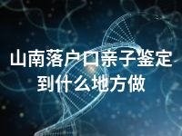 山南落户口亲子鉴定到什么地方做