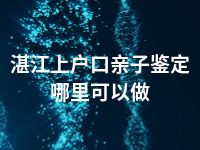 湛江上户口亲子鉴定哪里可以做