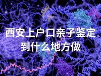 西安上户口亲子鉴定到什么地方做