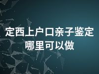 定西上户口亲子鉴定哪里可以做