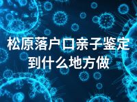 松原落户口亲子鉴定到什么地方做