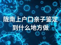 陇南上户口亲子鉴定到什么地方做