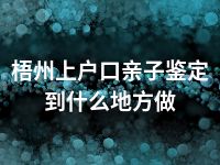 梧州上户口亲子鉴定到什么地方做