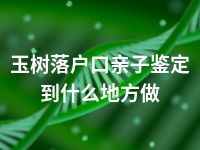 玉树落户口亲子鉴定到什么地方做