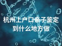 杭州上户口亲子鉴定到什么地方做