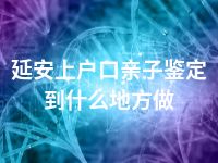 延安上户口亲子鉴定到什么地方做