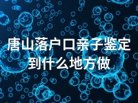 唐山落户口亲子鉴定到什么地方做