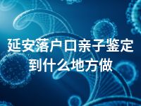 延安落户口亲子鉴定到什么地方做